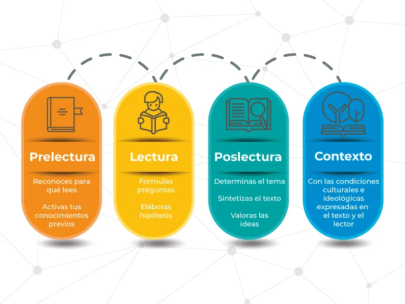 El Proceso de la Lectura Etapas y Consejos