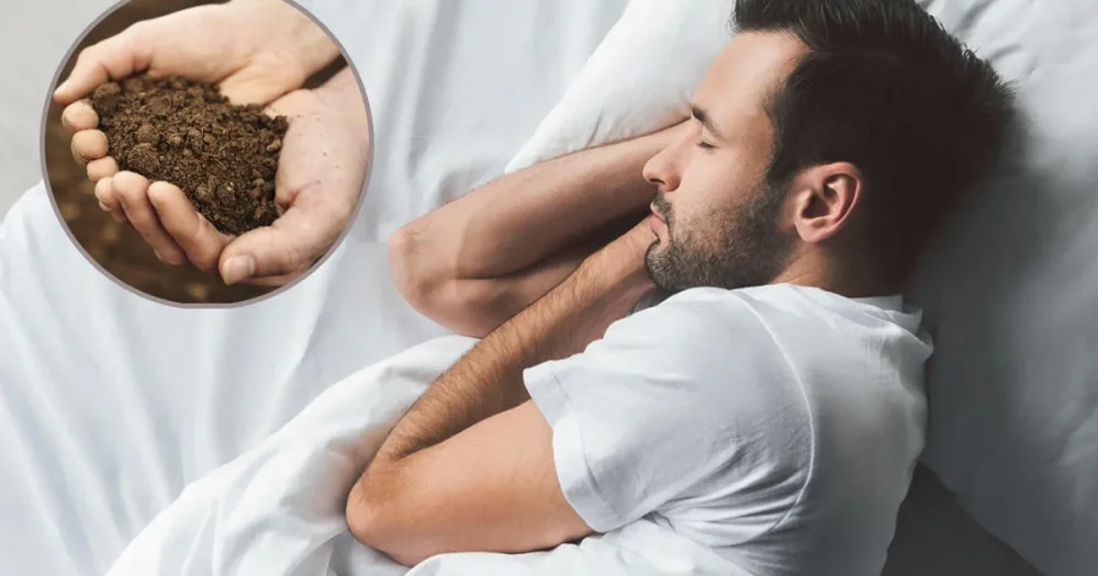 Significación de soñar con tierra descubre su mensaje oculto