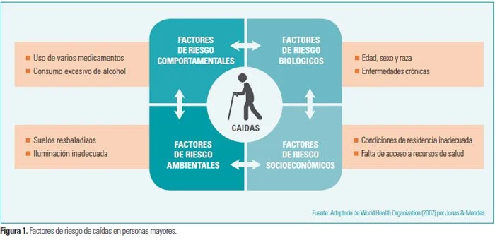 Riesgo y vejez Comportamientos a considerar