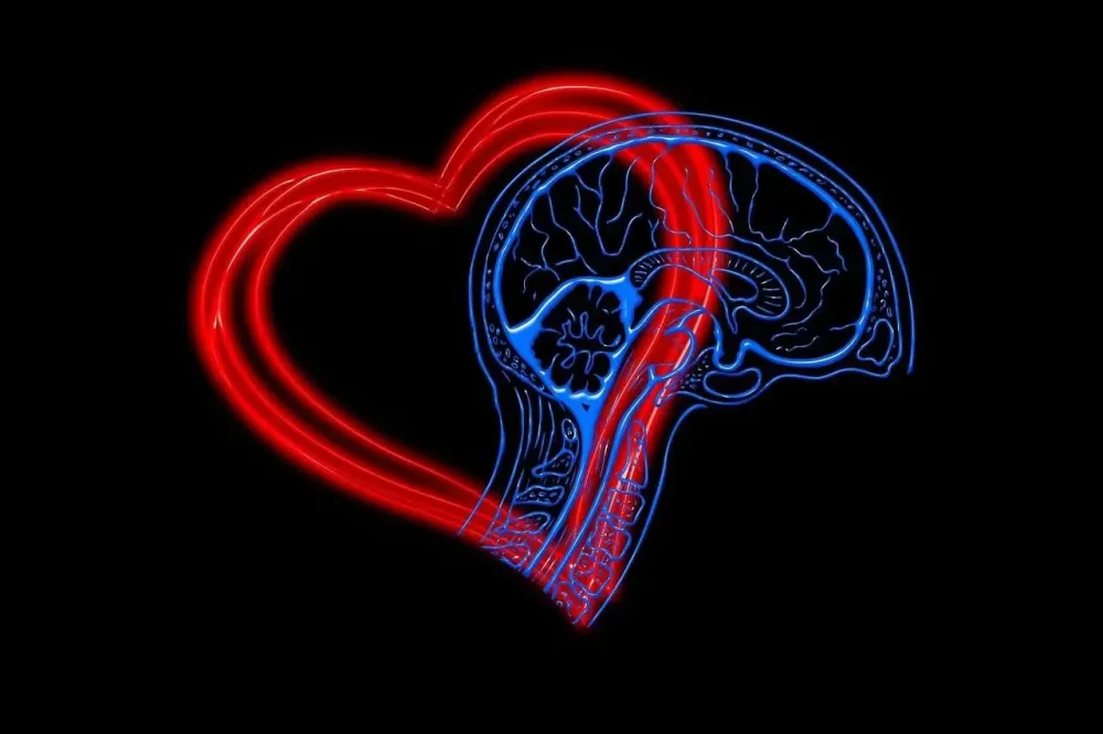 Autoconciencia emocional Clave para una vida plena