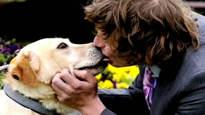 Obsesión por el cuidado de mascotas ¿Cuándo es demasiado?