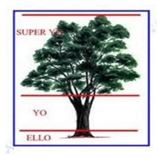 Ficha Técnica del Test del Árbol por Karl Koch