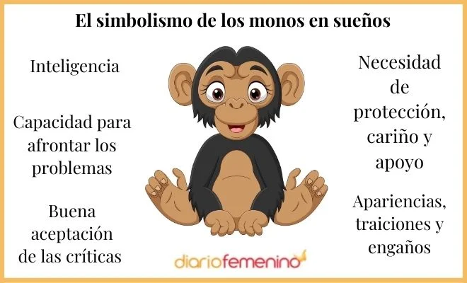 Significado de soñar con un mono amigable
