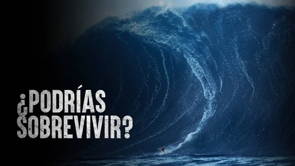 Sobreviviendo a una ola gigante
