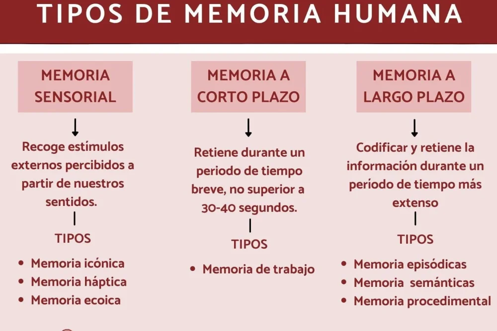 10 Ejemplos de Memorias de Trabajos para Inspirarte