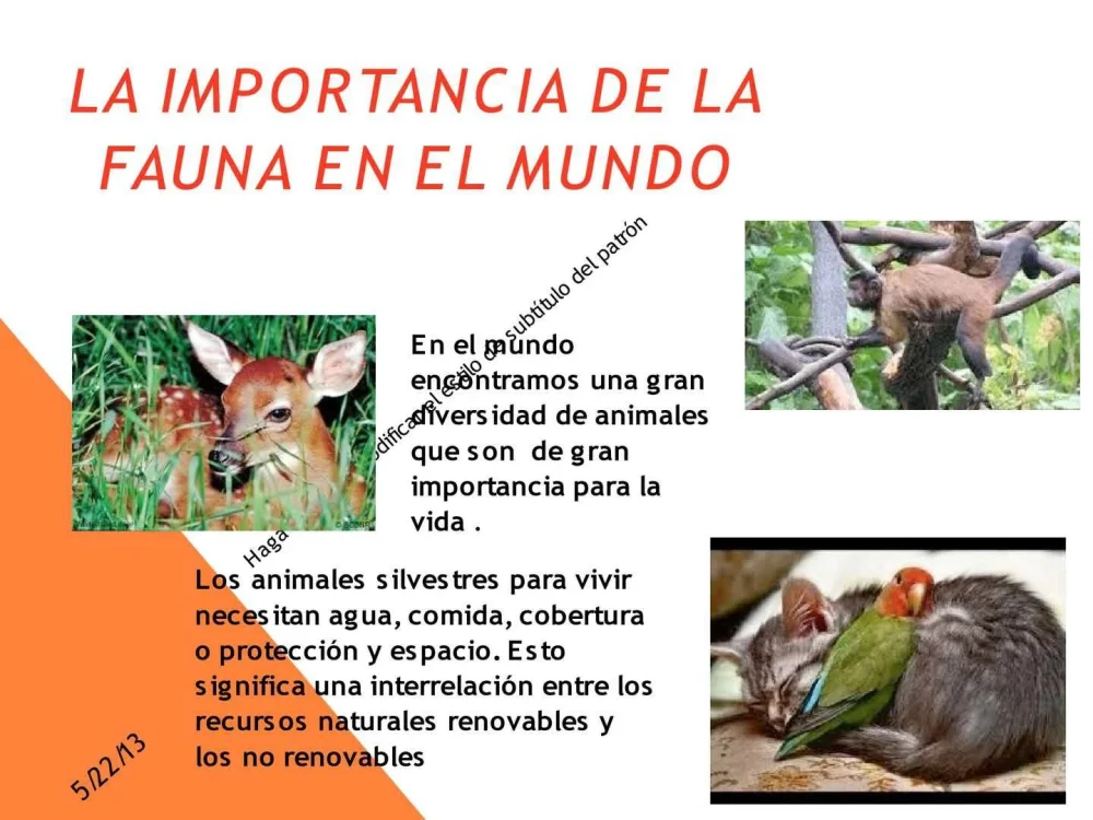 Nuevas estrategias para conservar la fauna