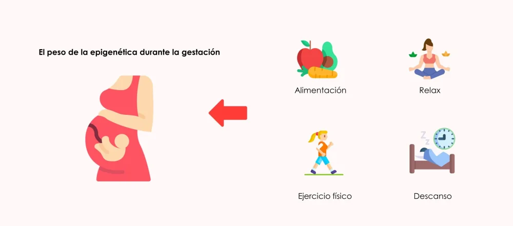 El Duelo en la Donación de Embriones Un Proceso Sanador