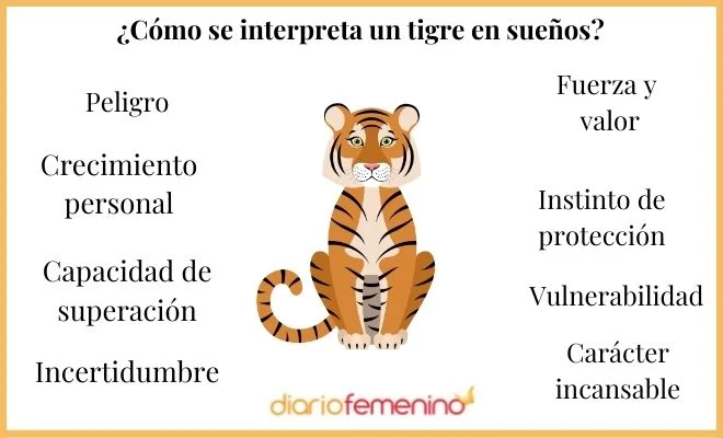 Tigre Blanco Significado y Simbolismo en los Sueños
