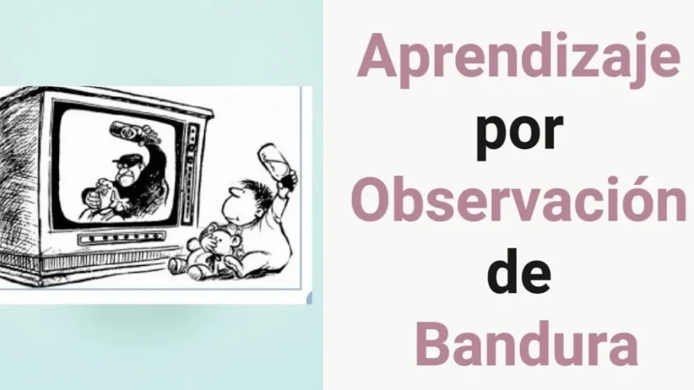 El aprendizaje por observación en la sociedad