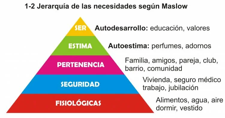 Comportamiento humano y deseo de pertenencia