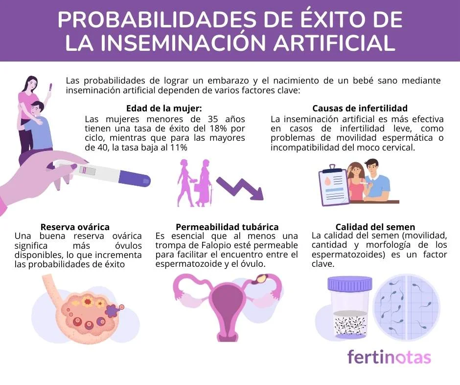 Inseminación artificial exitosa claves de comunicación efectiva