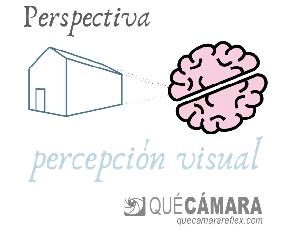 Perspectiva Clave para visión optimizada