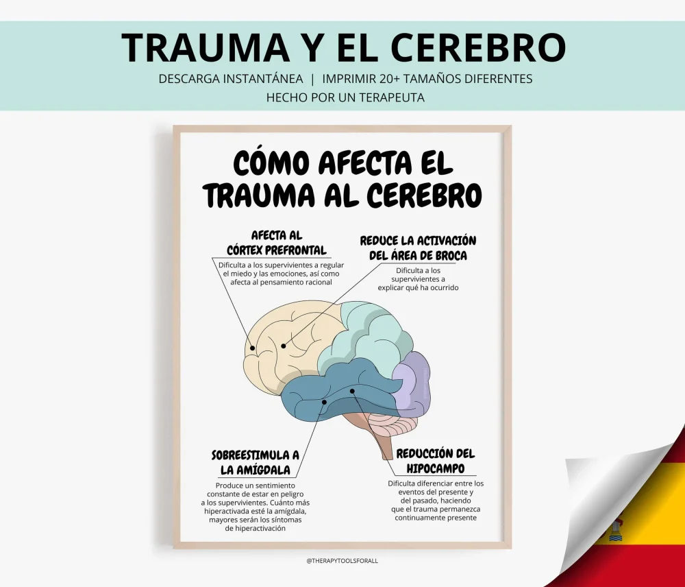 Fobias Cómo el trauma afecta nuestra mente