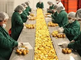Optimización de la conducta del productor en la economía
