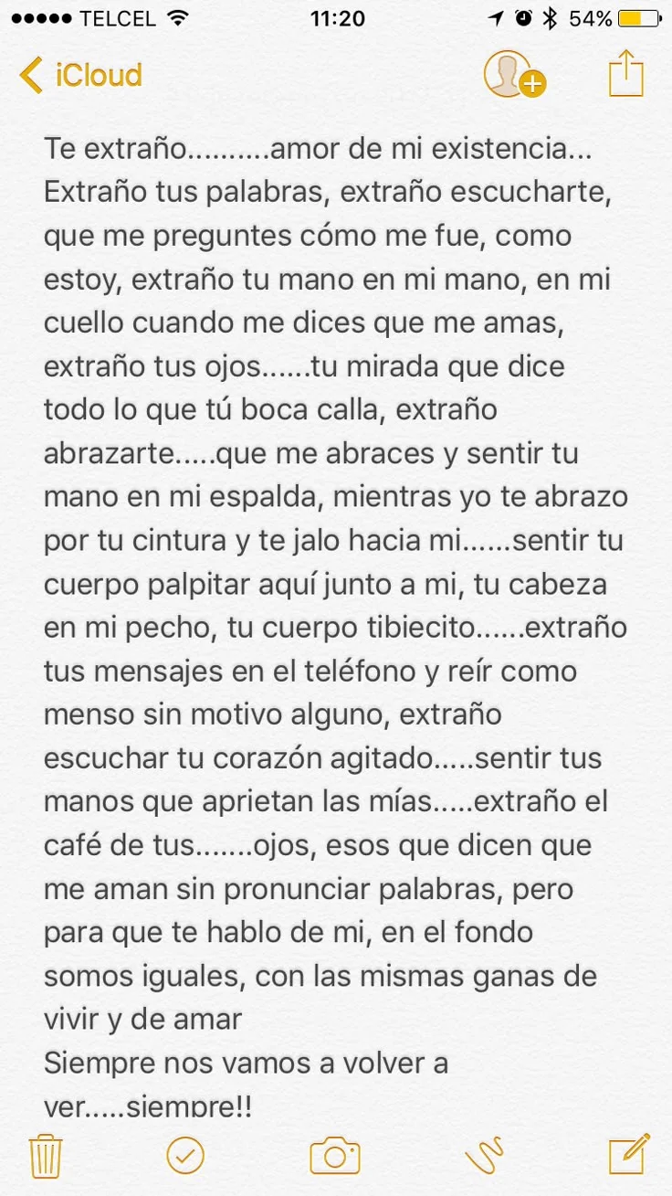 Carta a mi ex novia Te extraño