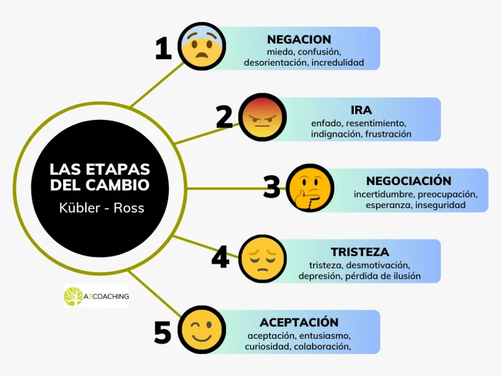 Gestión de emociones en momentos de cambio y transición