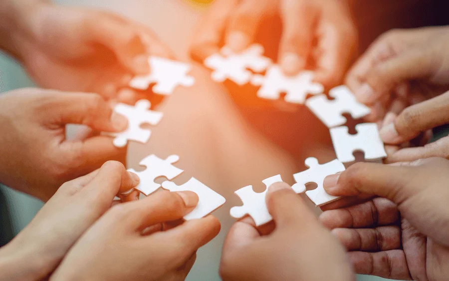 Optimizando la Cohesión en Grupo
