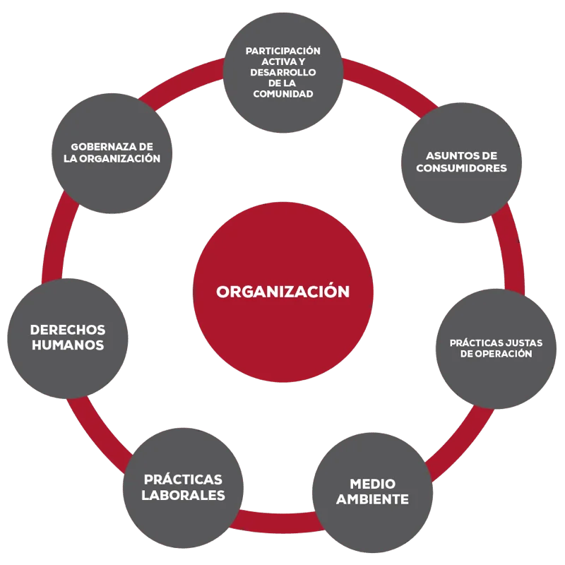 Percepción de la responsabilidad social su importancia y influencia