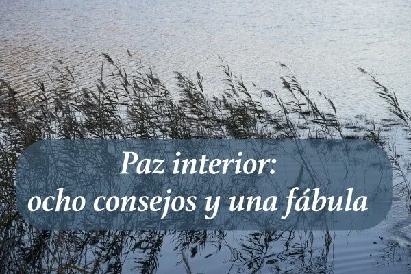 Claves para la serenidad y paz interior en humanos