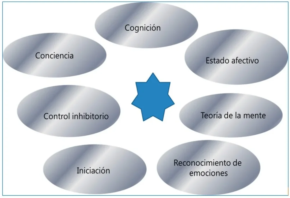Explorando la capacidad de tomar decisiones
