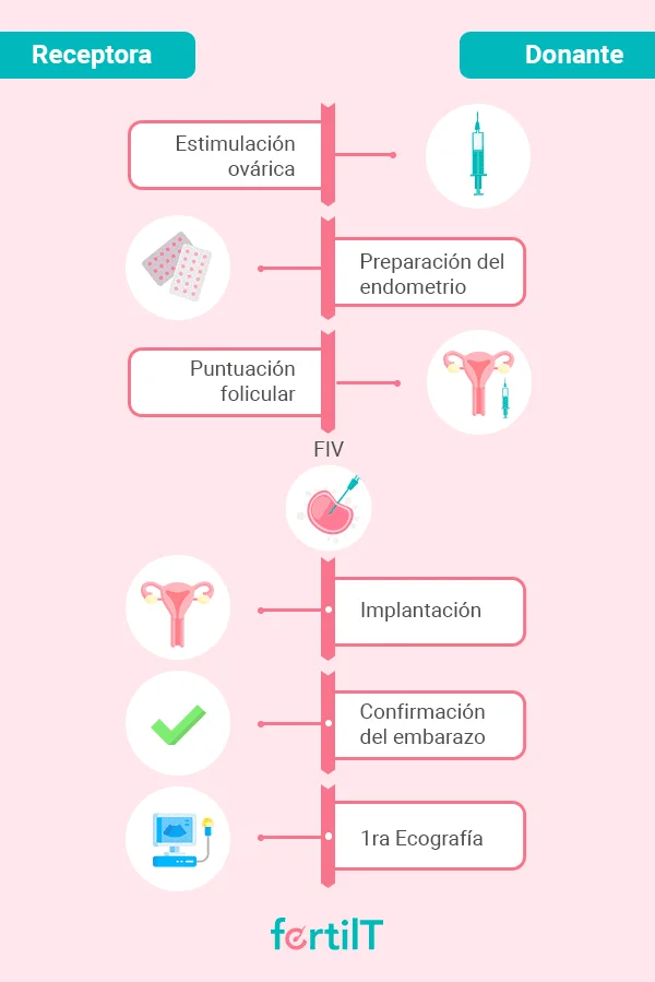 Optimizando la fertilidad en donación de embriones mediante terapia