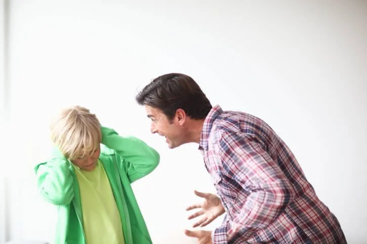 La crianza y la agresividad de los hijos