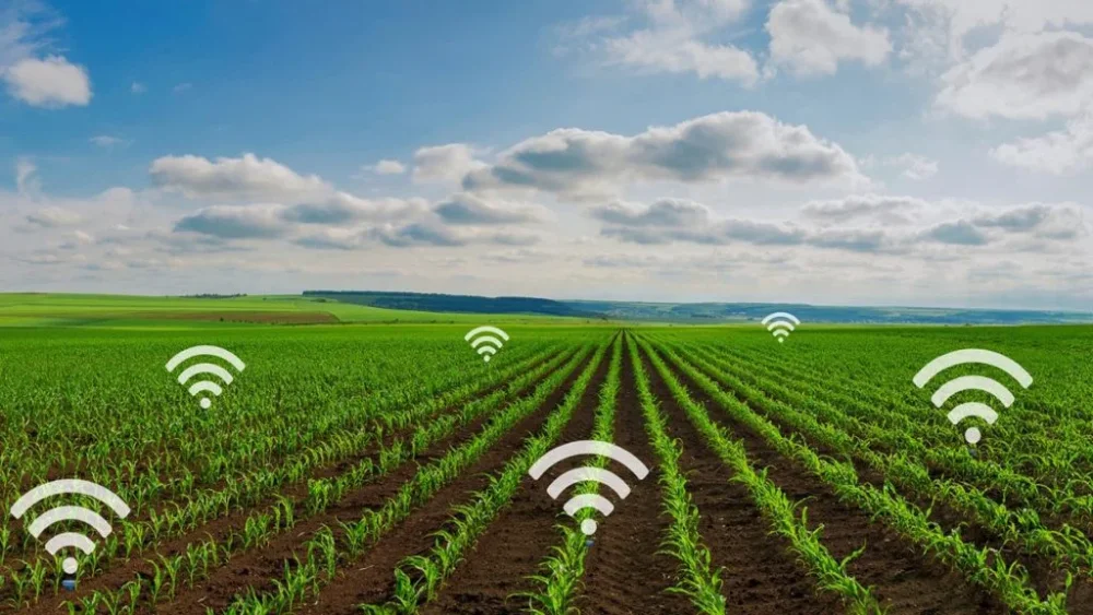 Rentabilidad y Sustentabilidad en Plantaciones Comerciales