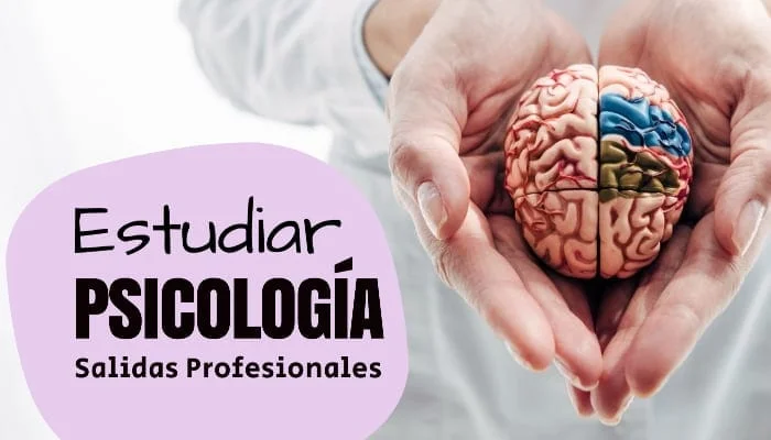 Salidas profesionales en psicología forense guía completa