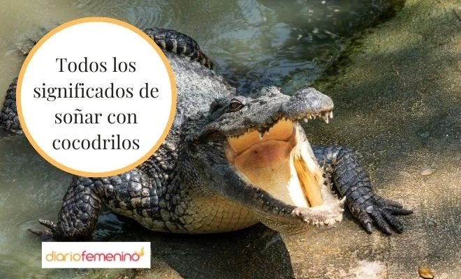Soñar con cocodrilos significado bíblico