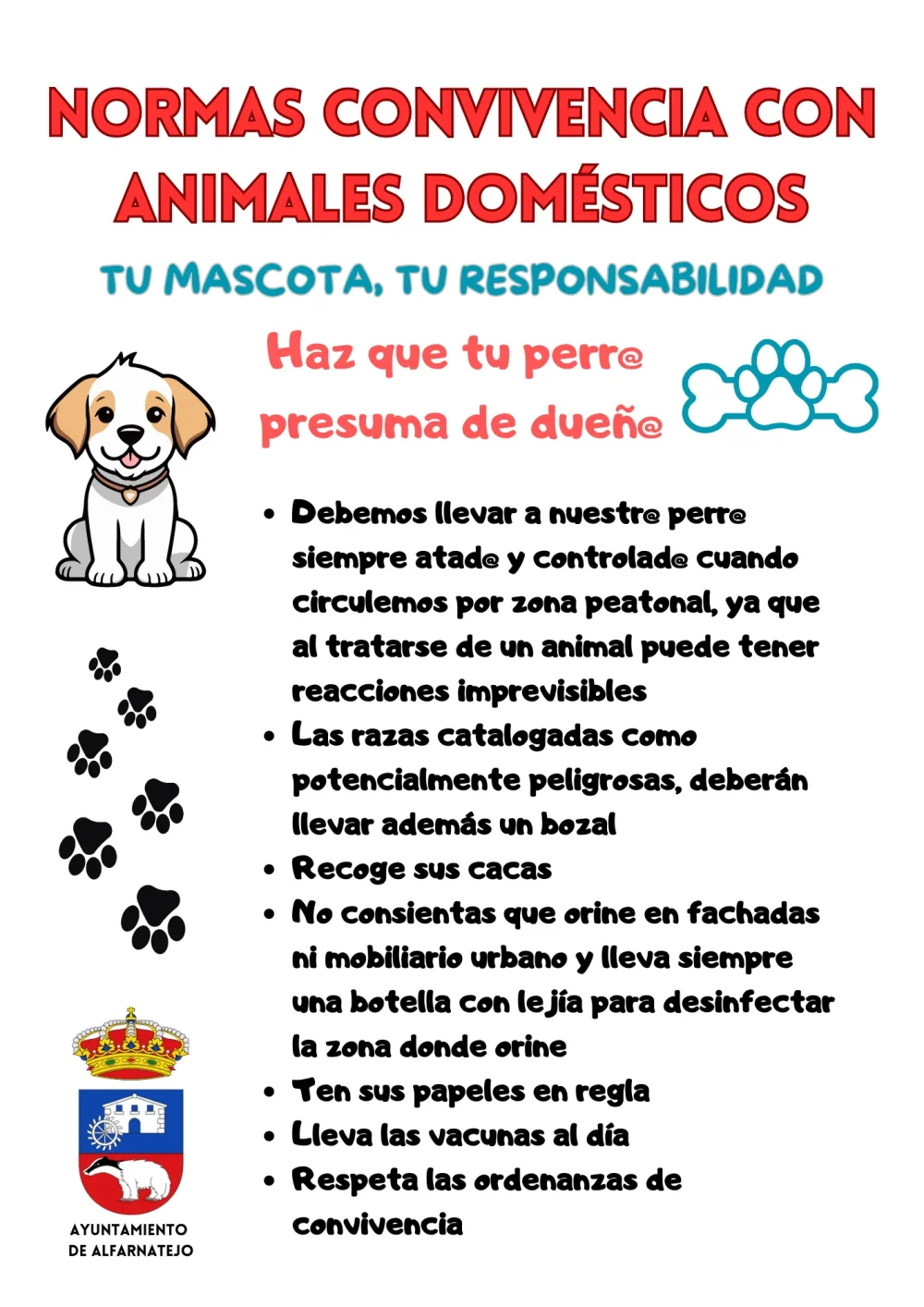 Consejos para convivir armoniosamente con tu mascota