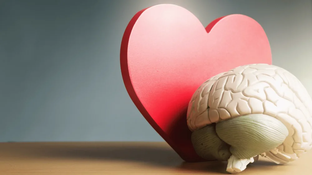 Desarrollo de habilidades emocionales para vida plena