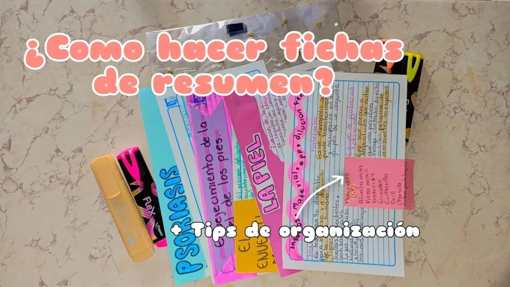 Guía para elaborar una ficha de resumen