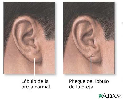 Significado de tocar el lóbulo de la oreja