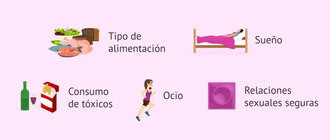 Apoyo emocional para parejas y donación de útero Guía completa