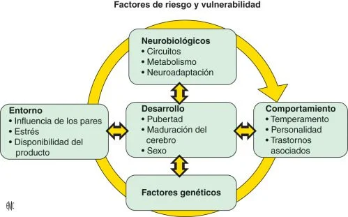 Consecuencias del comportamiento adictivo Impacto y soluciones
