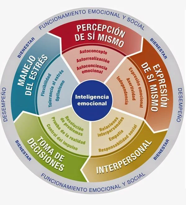 La inteligencia emocional en la competencia