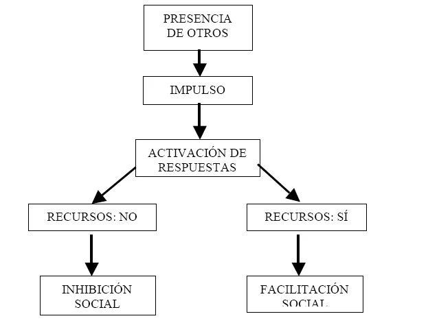 Relación estrecha entre motivación y comportamiento competitivo