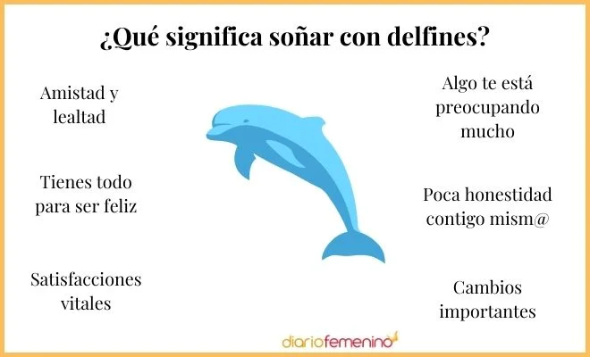 El simbolismo y características del delfín