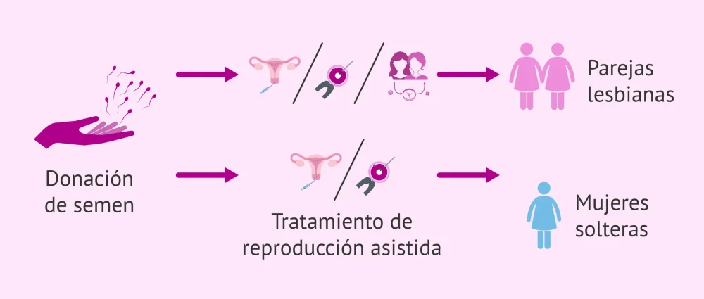 Impacto en la autoestima y la identidad en terapia de pareja y donación de esperma