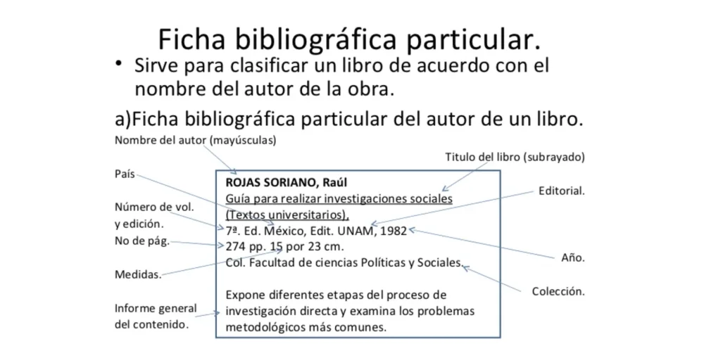 Fichas de contenido todo lo que debes saber