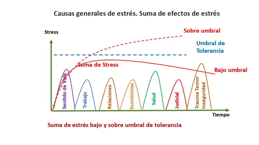 Imitación en situaciones de estrés análisis conciso