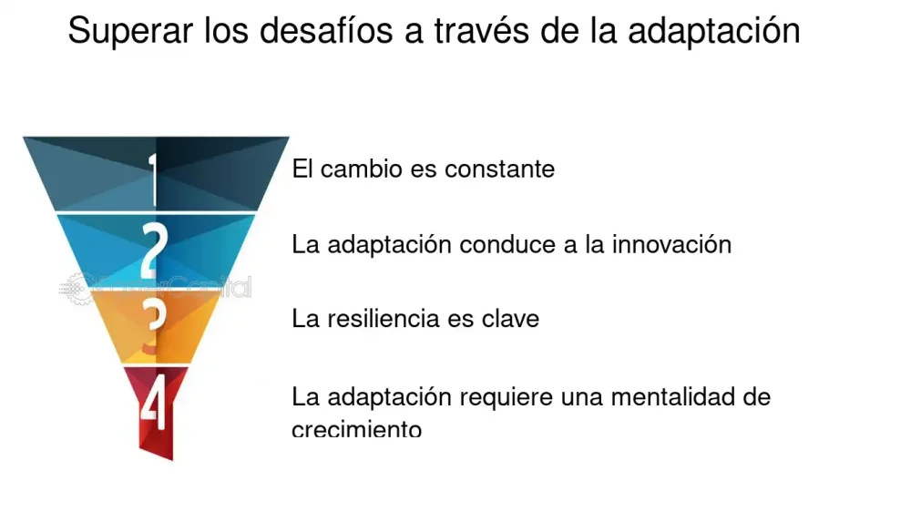 Superando Desafíos en la Relación Bicultural