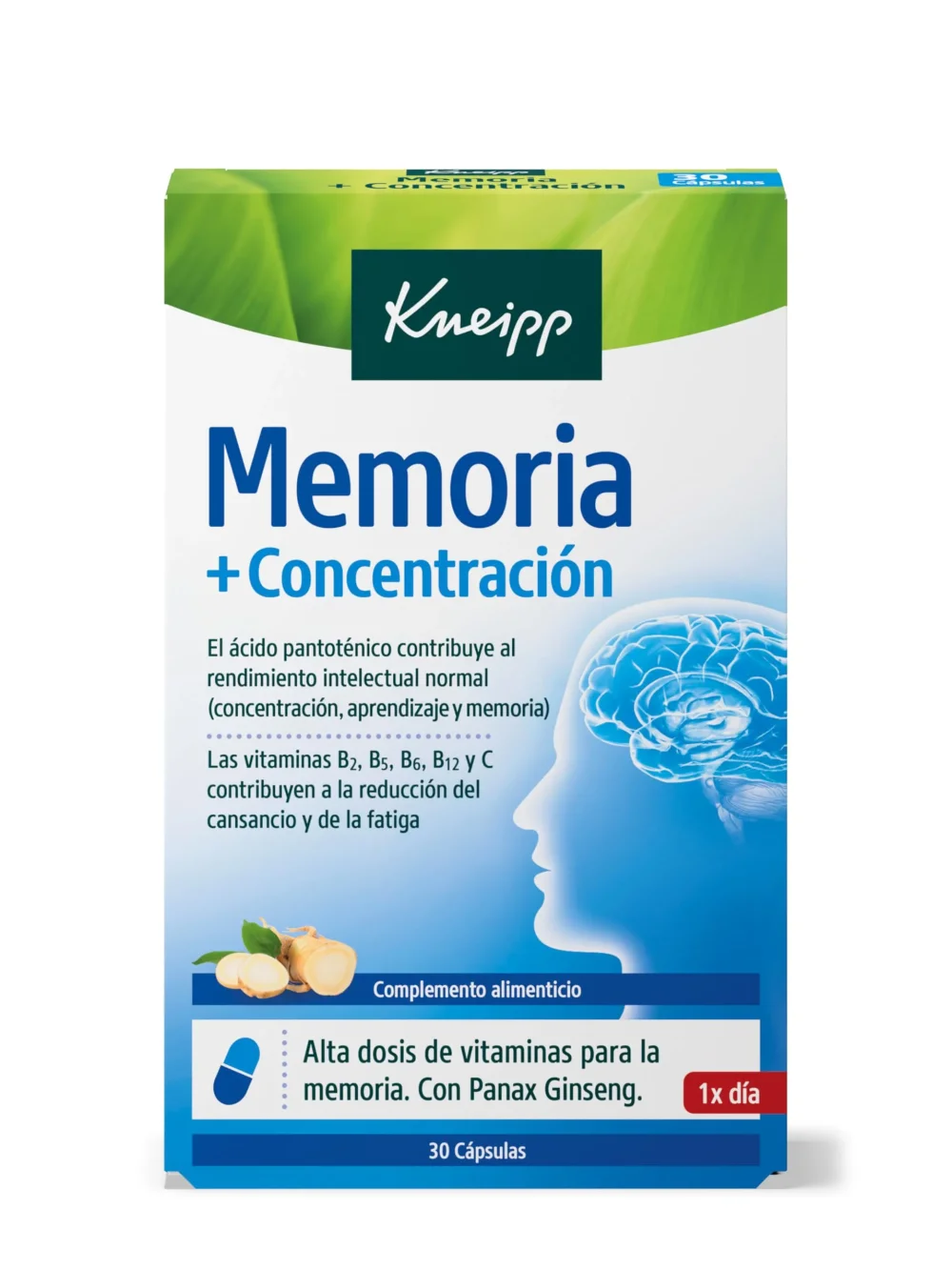 Suplementos para mejorar concentración en el estudio