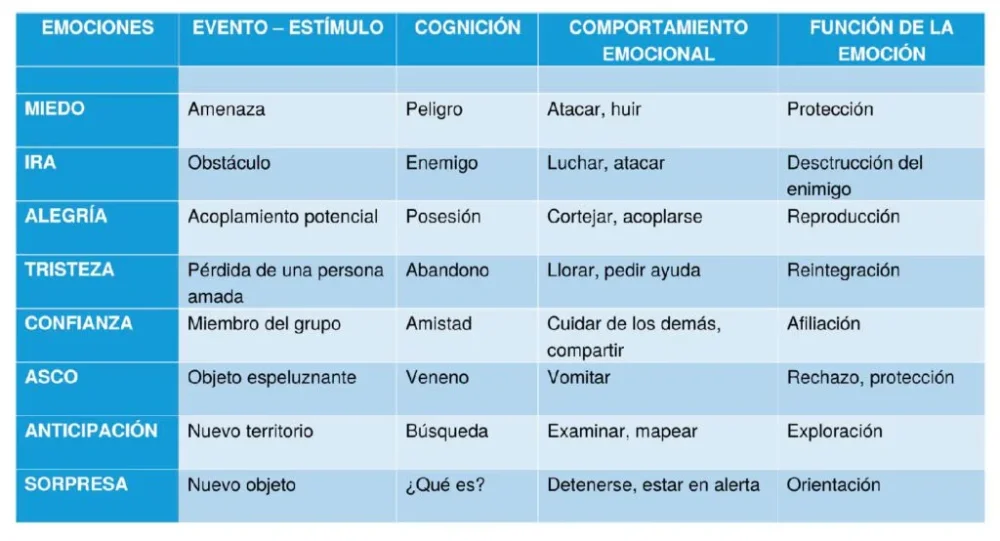Emociones básicas y comportamiento del consumidor una influencia clave