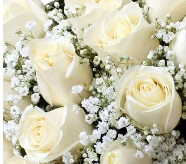 Significado espiritual de flores blancas