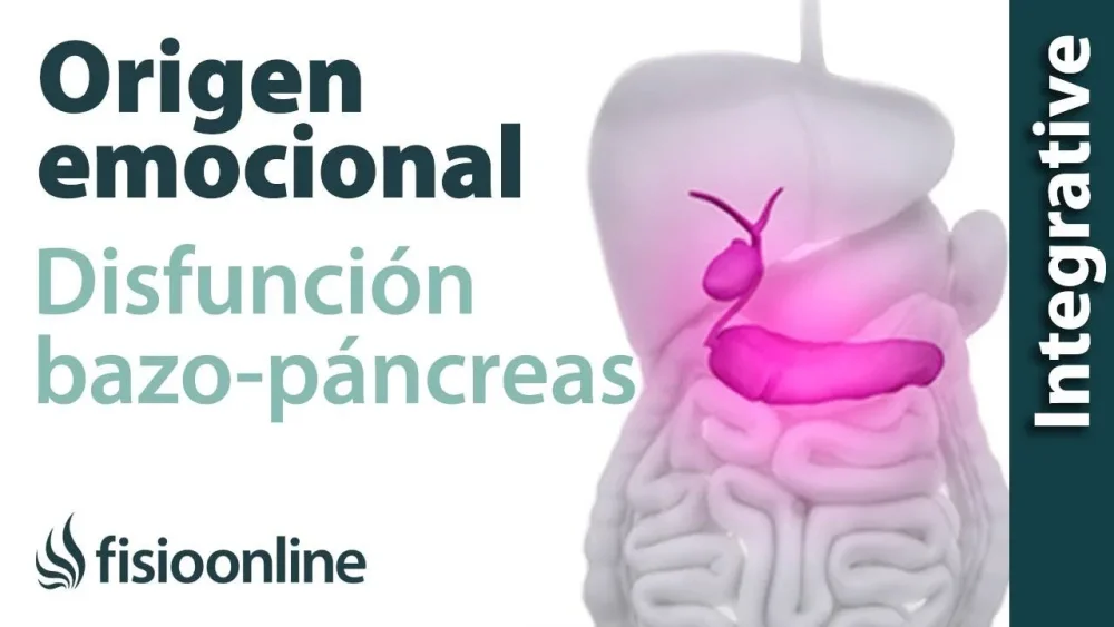 Conexión emocional con bazo inflamado Causas y efectos