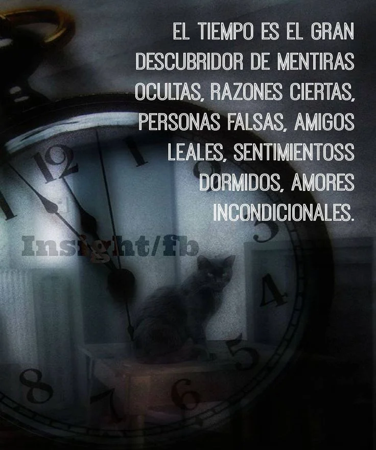 Descubriendo la verdadera lealtad Frases sobre el falso amigo