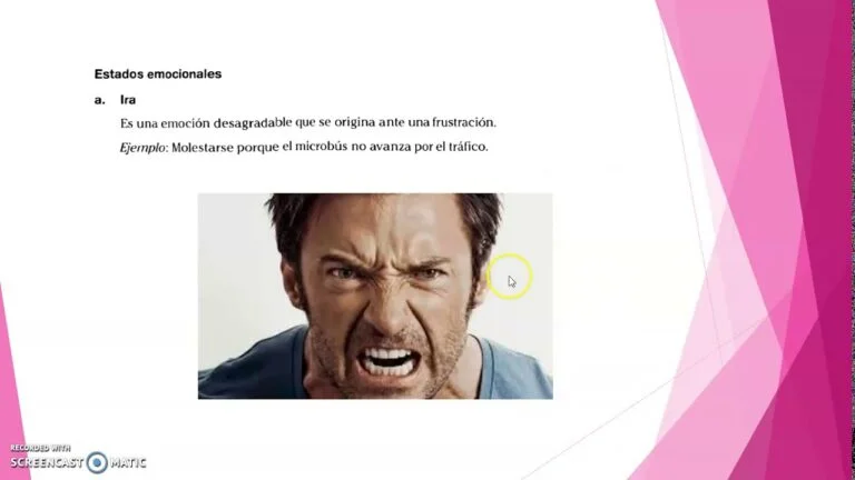 Procesos Afectivos Explorando las Emociones Humanas