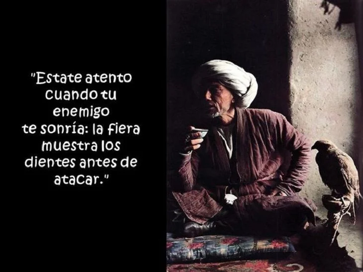 Proverbios Árabes para Inspirar