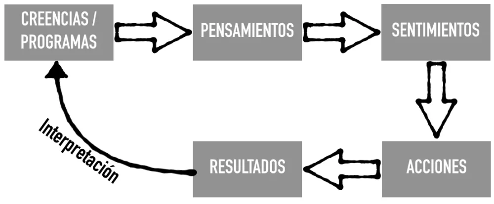 Relación entre Causa y Efecto La Ley de Efecto
